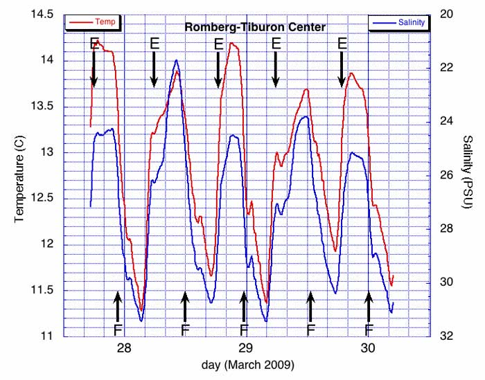 graph of temperature versus tiime