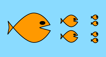fish food chain